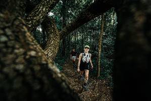 BIB: 
                            <button type="button" onclick="openModal(25666865)" class="btn btn-primary btn-sm float-right btn-popup" data-toggle="modal" data-target=".modal-high-quality">
                        <i class="fas fa-shopping-cart"></i> Add to Cart
                    </button>
                                            <button type="button" onclick="isThisMe(25666865, true)" class="btn btn-success btn-sm float-right btn-popup btn-isme hidden" data-toggle="tooltip" data-placement="bottom" title="นี่คือรูปของคุณใช่ไหม คลิกที่นี่เพื่อเอาเข้าอัลบั้ม">
                        <i class="fas fa-plus"></i> Add to album
                    </button>
                    <button type="button" onclick="isThisMe(25666865, false)" class="btn btn-warning btn-sm float-right btn-popup btn-isnotme hidden">
                        <i class="fas fa-ban"></i> Remove from album
                    </button>